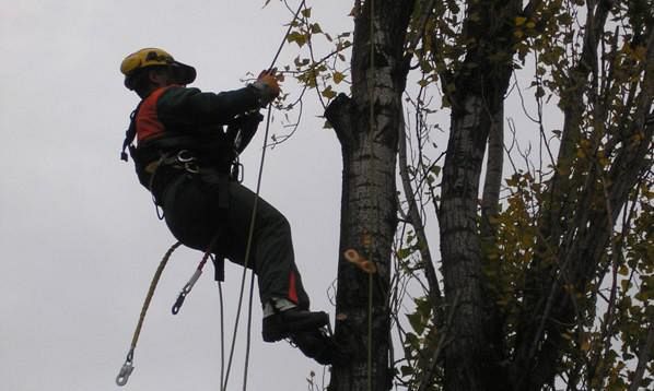 Chiusura di via Cassini altezza civico 21 venerdì 13 marzo